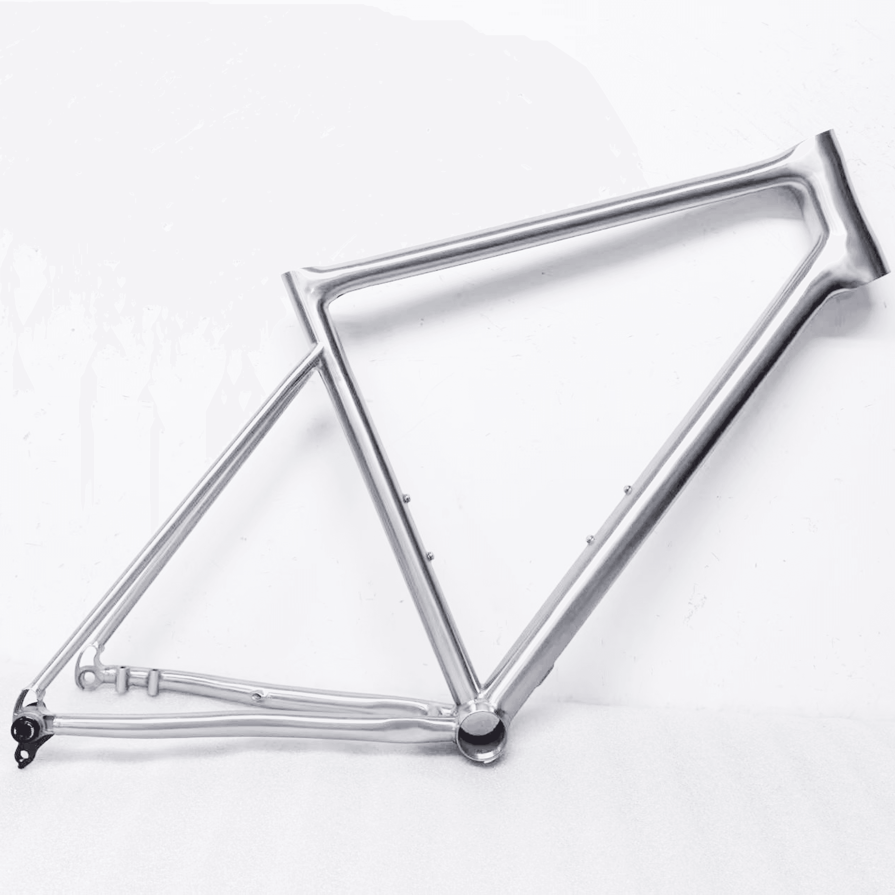 ELEGANCE titanium bike frame, view 2